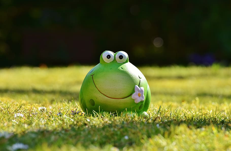 closeup photo of green frog figurine, figure, meadow, funny HD wallpaper