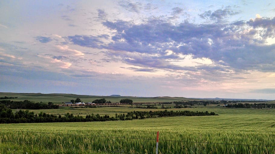 prairie, clouds, fields, sky, landscape, grass, countryside HD wallpaper