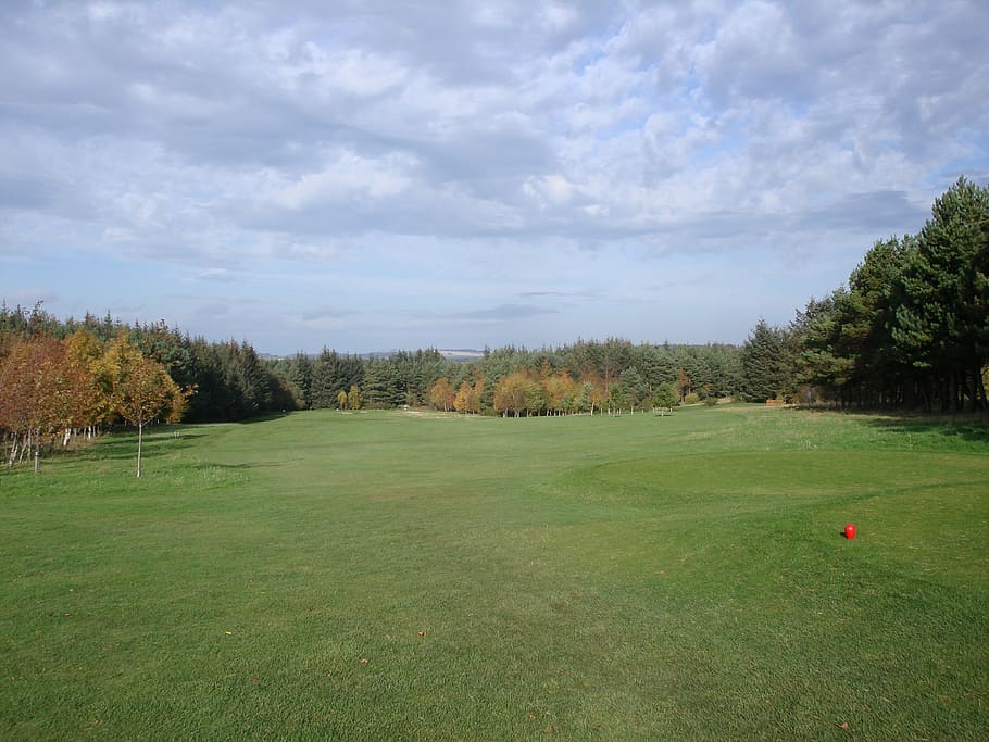 landscape photography of green grass field, golf, golfcourse HD wallpaper