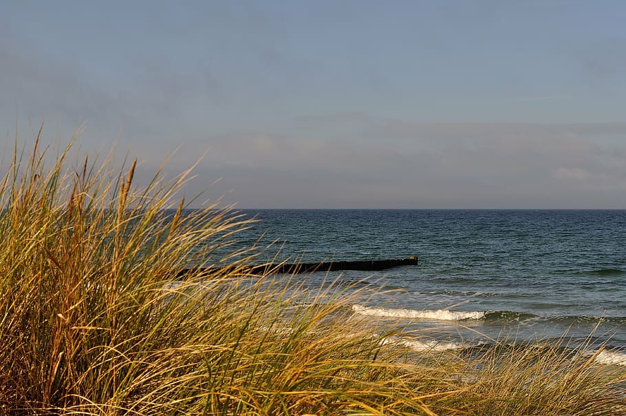 baltic sea, beach, grass, sky, coast, dunes, water, horizon over water HD wallpaper