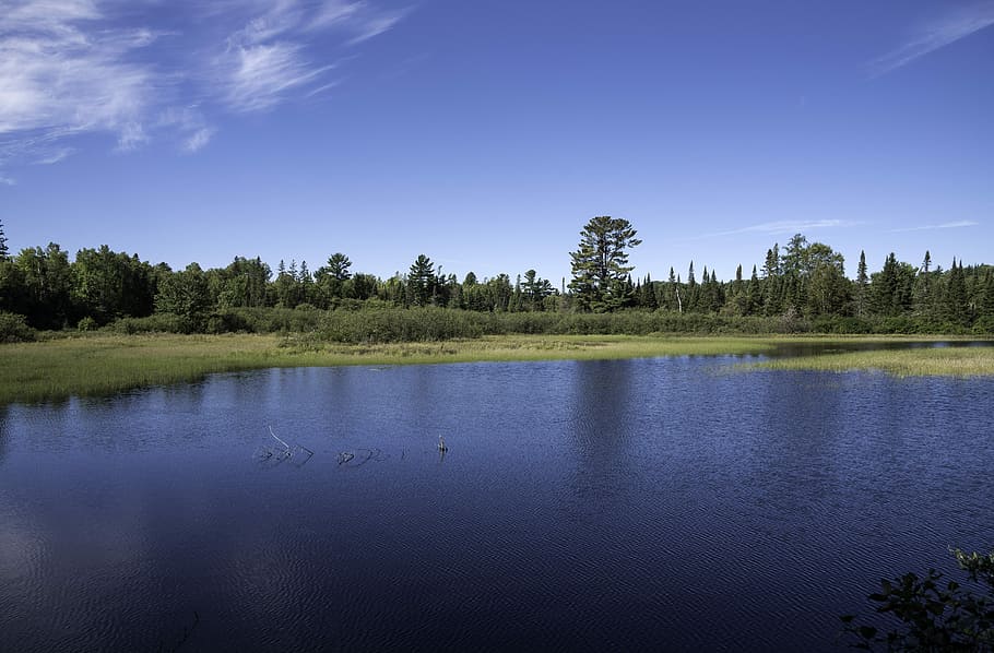 Peshekee River landscape in Van Riper State Park, Michigan, photos, HD wallpaper