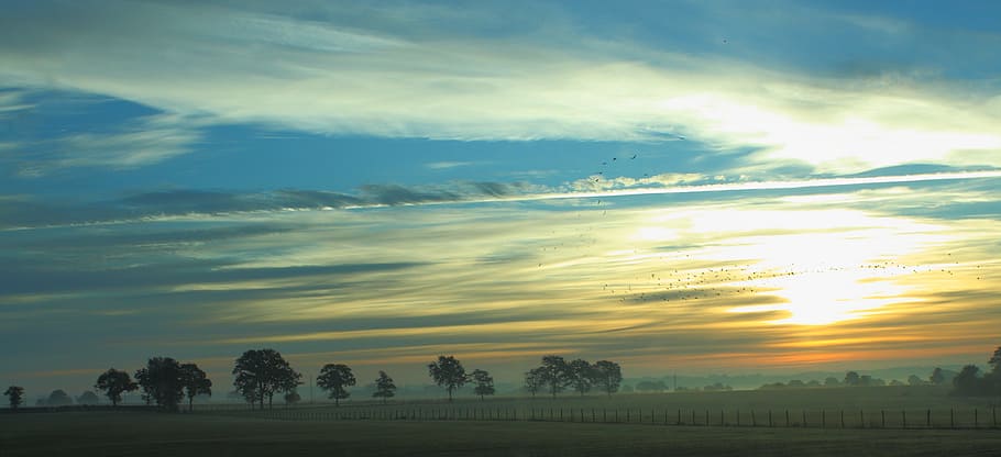 landscape, sunrise, trees, cloud - sky, beauty in nature, scenics - nature HD wallpaper