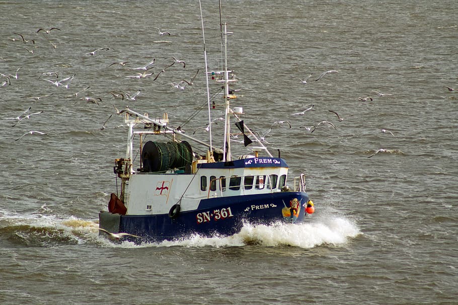 trawler, fishing, nothshields, river tyne, nautical Vessel HD wallpaper