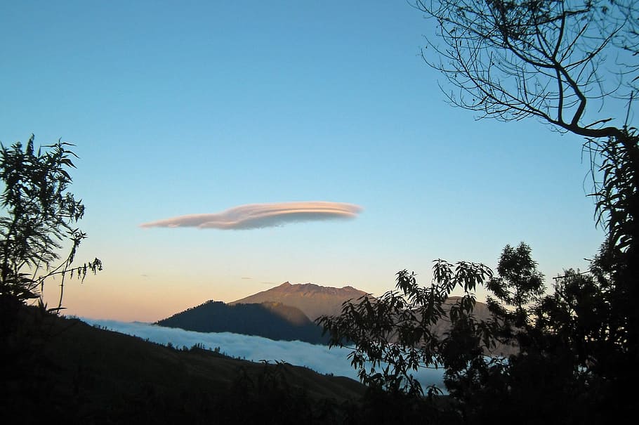 java, volcano, sunrise, nature, mountain, tree, outdoors, sky HD wallpaper