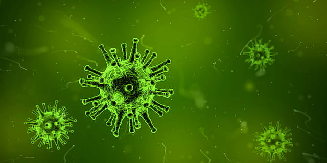 Virus Cells in green dye, illness, microscopic, public domain HD wallpaper