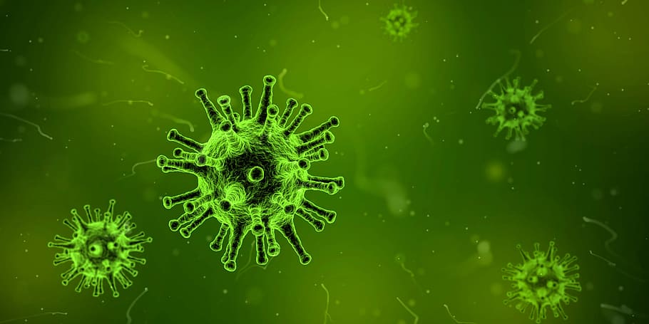 Virus Cells in green dye, illness, microscopic, public domain