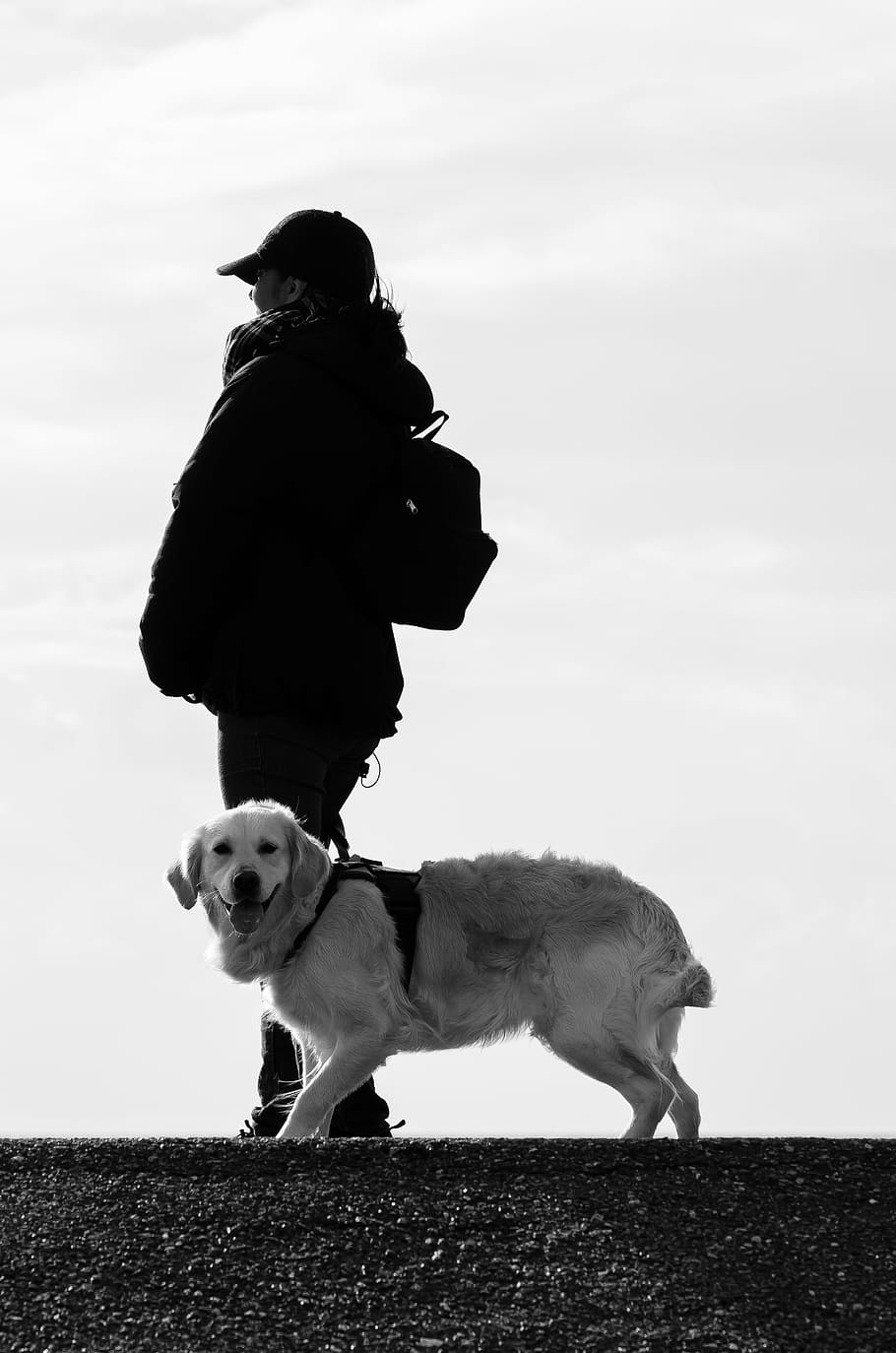 grayscale photography of person standing beside golden retriever during daytime