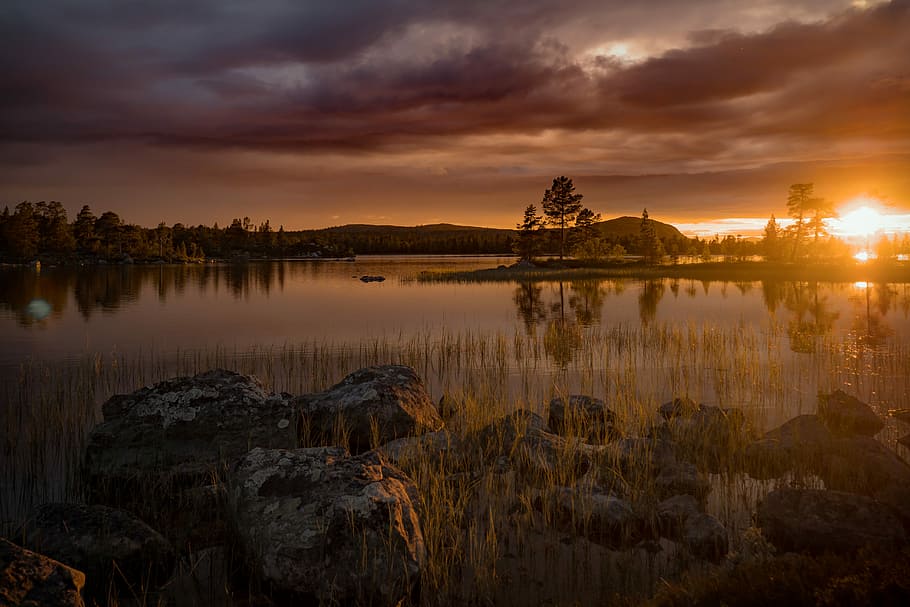 body of water near trees at sunset, landscape photography of lake HD wallpaper