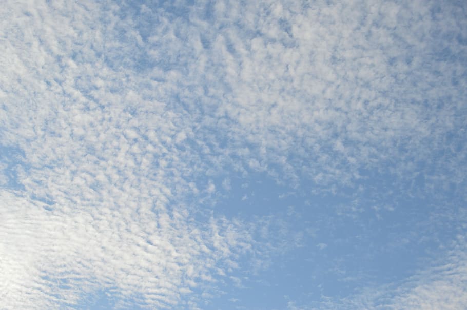 Sky, Blue Sky, clouds, sky clouds, blue sky clouds, white, air HD wallpaper