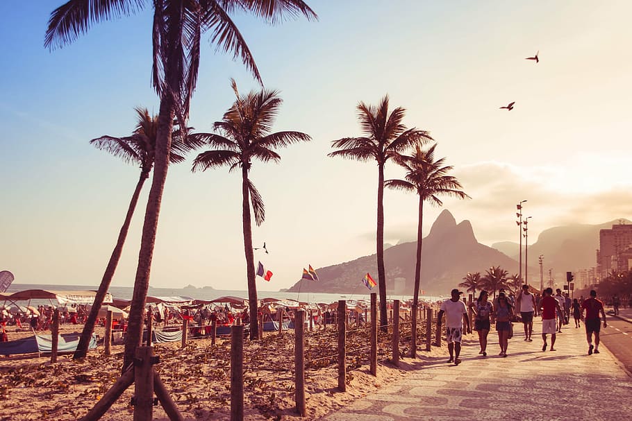 people walking near coconut trees, beach, rio de janeiro, sol, HD wallpaper