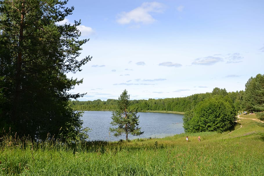 nature, lake, forest, tree, summer, outdoors, water, landscape HD wallpaper