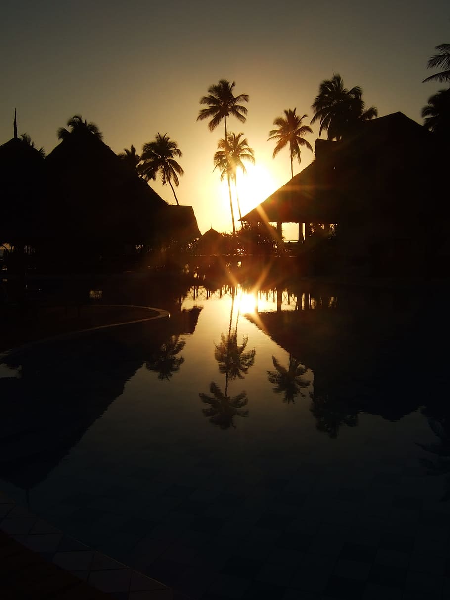 zanzibar, sea, africa, sunrise, indian ocean, water, reflection