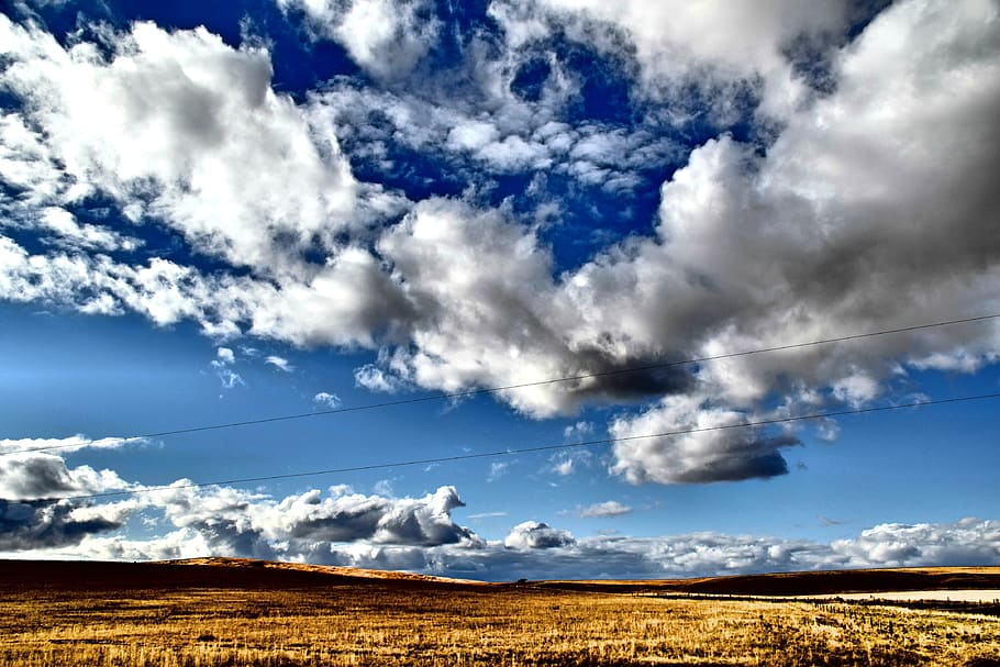 HD wallpaper: Cloudy Day, blue, bright, clouds, daylight, field, grass