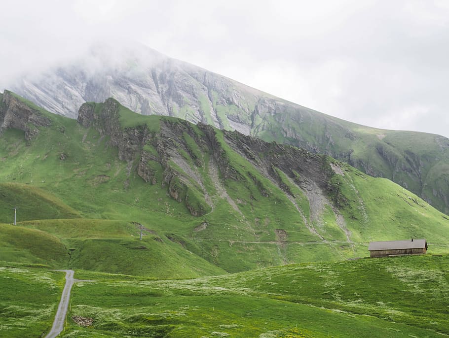 mountain covered by green grass, brown, house, near, highland HD wallpaper