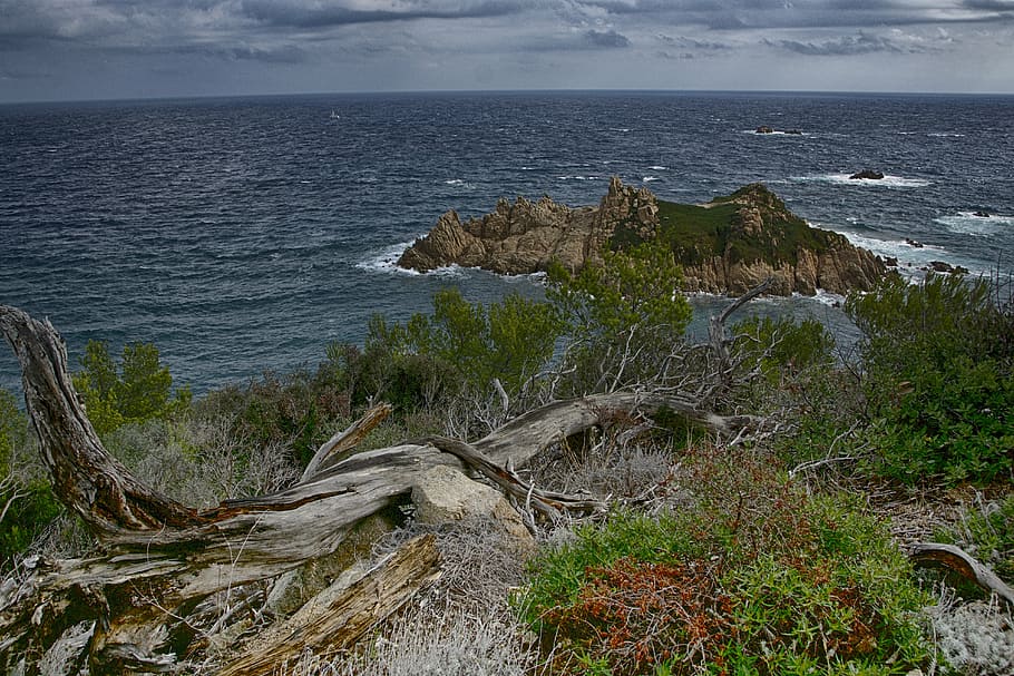 sea, tribe, ocean, idyllic, wood, landscape, regulatory storm HD wallpaper