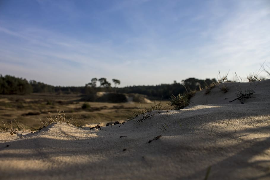 Sand, Nature, Heide, Air, Netherlands, veluwe, view, blue, dunes HD wallpaper