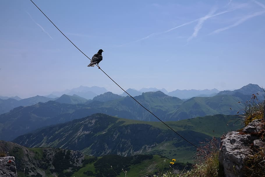 Ponten, Summit, Jackdaw, Outlook, panorama, mountain, allgäu alps HD wallpaper