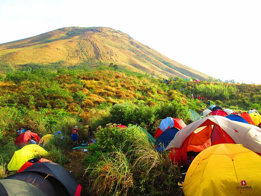 indonesian, mount, ascent, east java, camp, tent, morning, group of people HD wallpaper