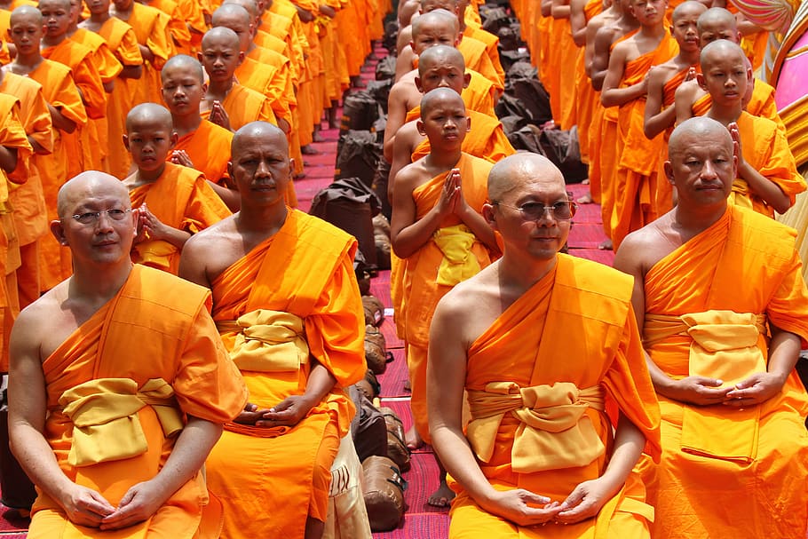 monk, buddhists, sitting, elderly, old, bald, tradition, ceremony