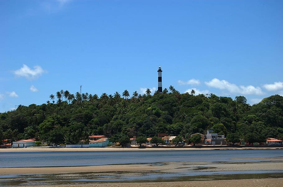 the coast of alagoas, mar, beach, lighthouse, tower, tree, sky, HD wallpaper
