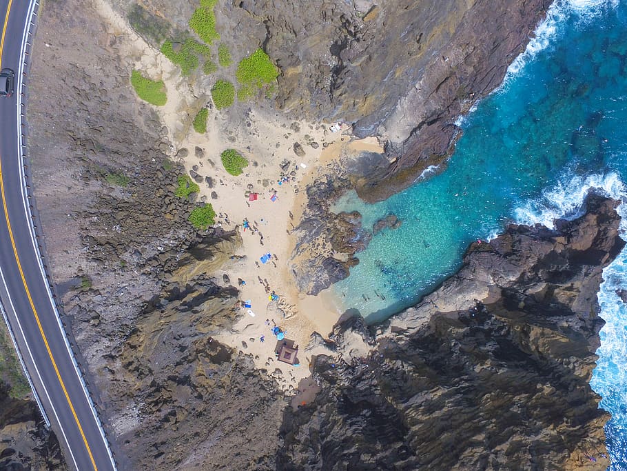 aerial photography of people on beach, aerial photo of people on beach during daytime HD wallpaper
