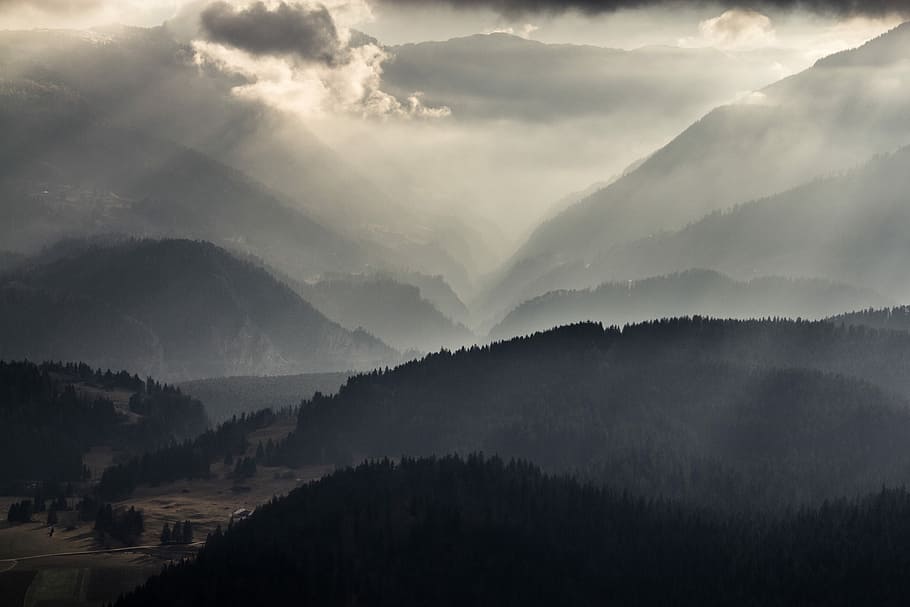 mountain with foggy weather, grayscale photo of mountain and forest HD wallpaper