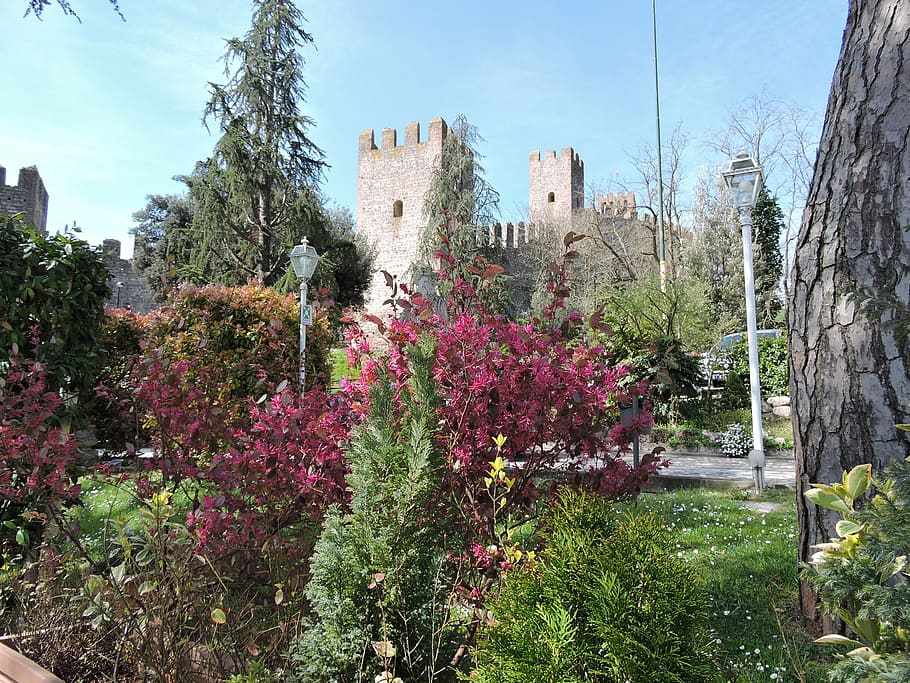 garden, castle, spring, torre, medieval, tree, bloom, sky, este HD wallpaper