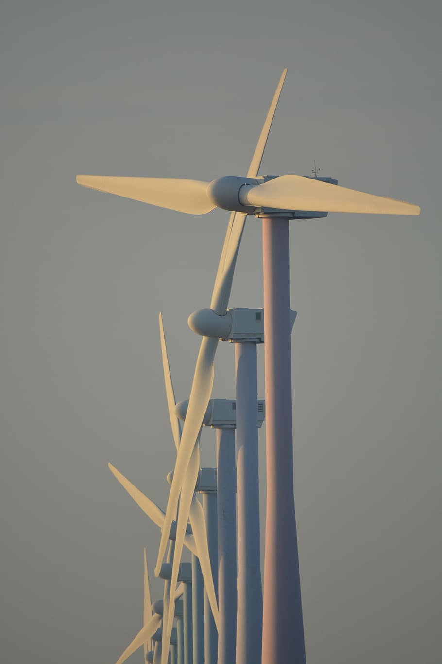 Nature, Windmills, Netherlands, wind energy, view, wicks, green energy HD wallpaper