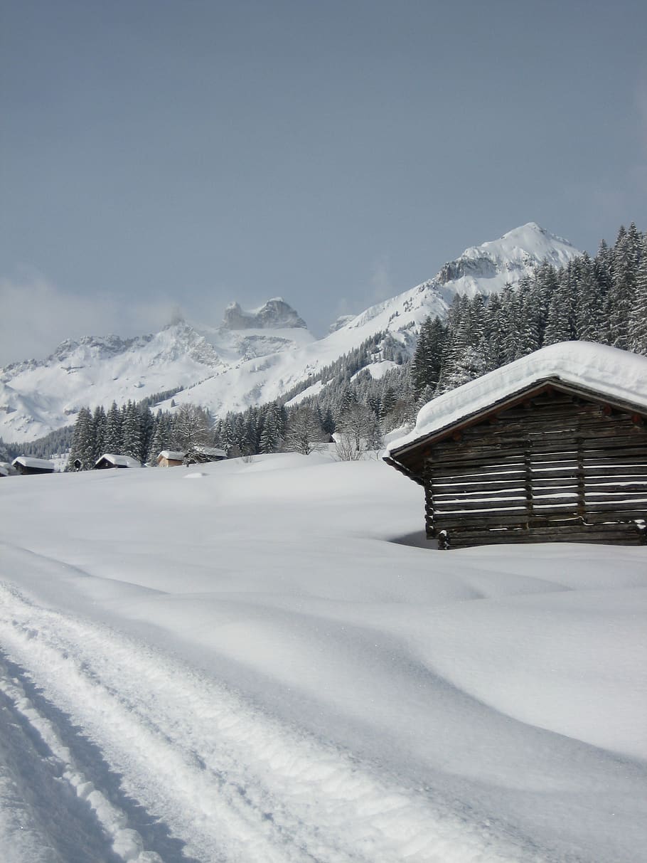 snow, winter, mountain, cold, ice, white, frozen, icicle, landscape HD wallpaper