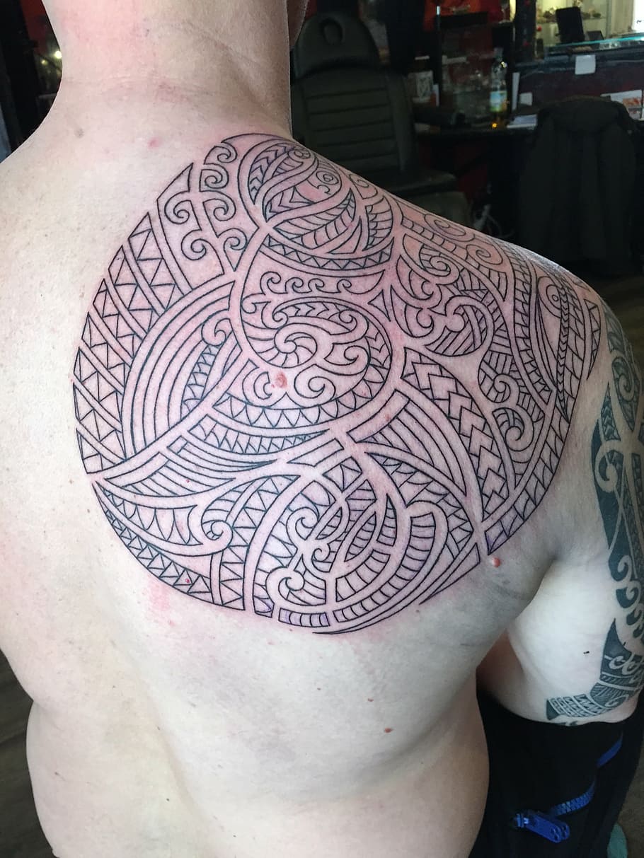 tattoo, maori, tribal, artwork, new zealand, painted, ink, shoulder