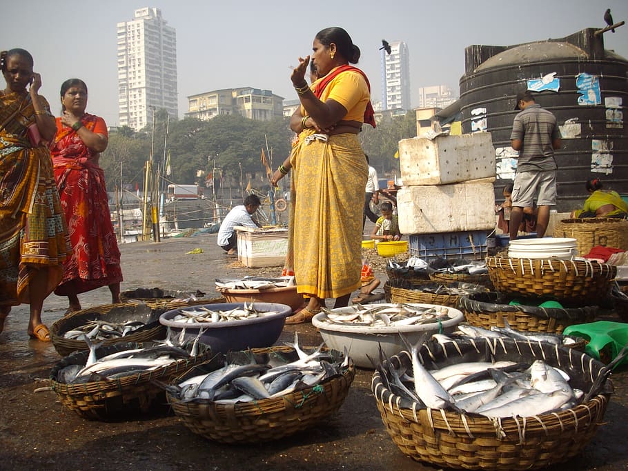 fish, auction, docks, sassoon, mumbai, typical, famous, auctioning