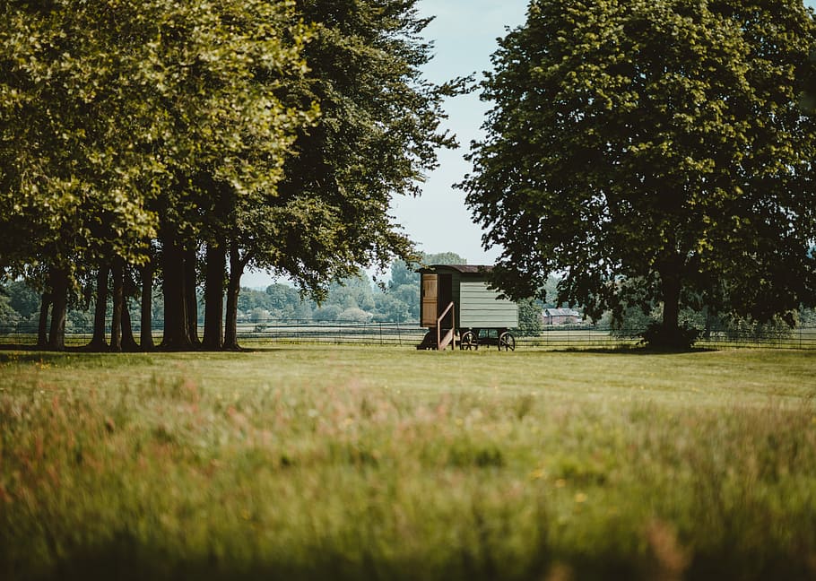 photo of green grass field and trees, glamping, step, shepherds hut HD wallpaper