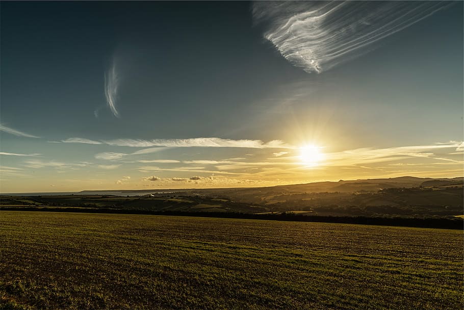 green landscape under blue sky at daytime, soil, ground, golden HD wallpaper