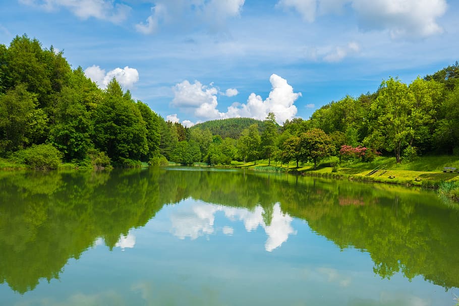 calmly body of water near green leafed trees under blue and cloudy sky HD wallpaper
