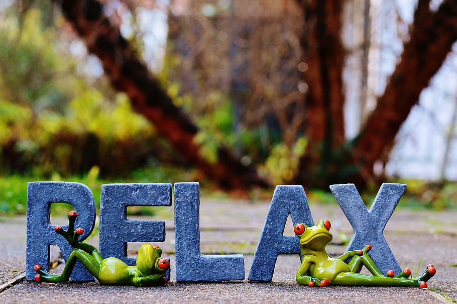 two green frog ceramic figurines, relax, frogs, rest, concerns HD wallpaper