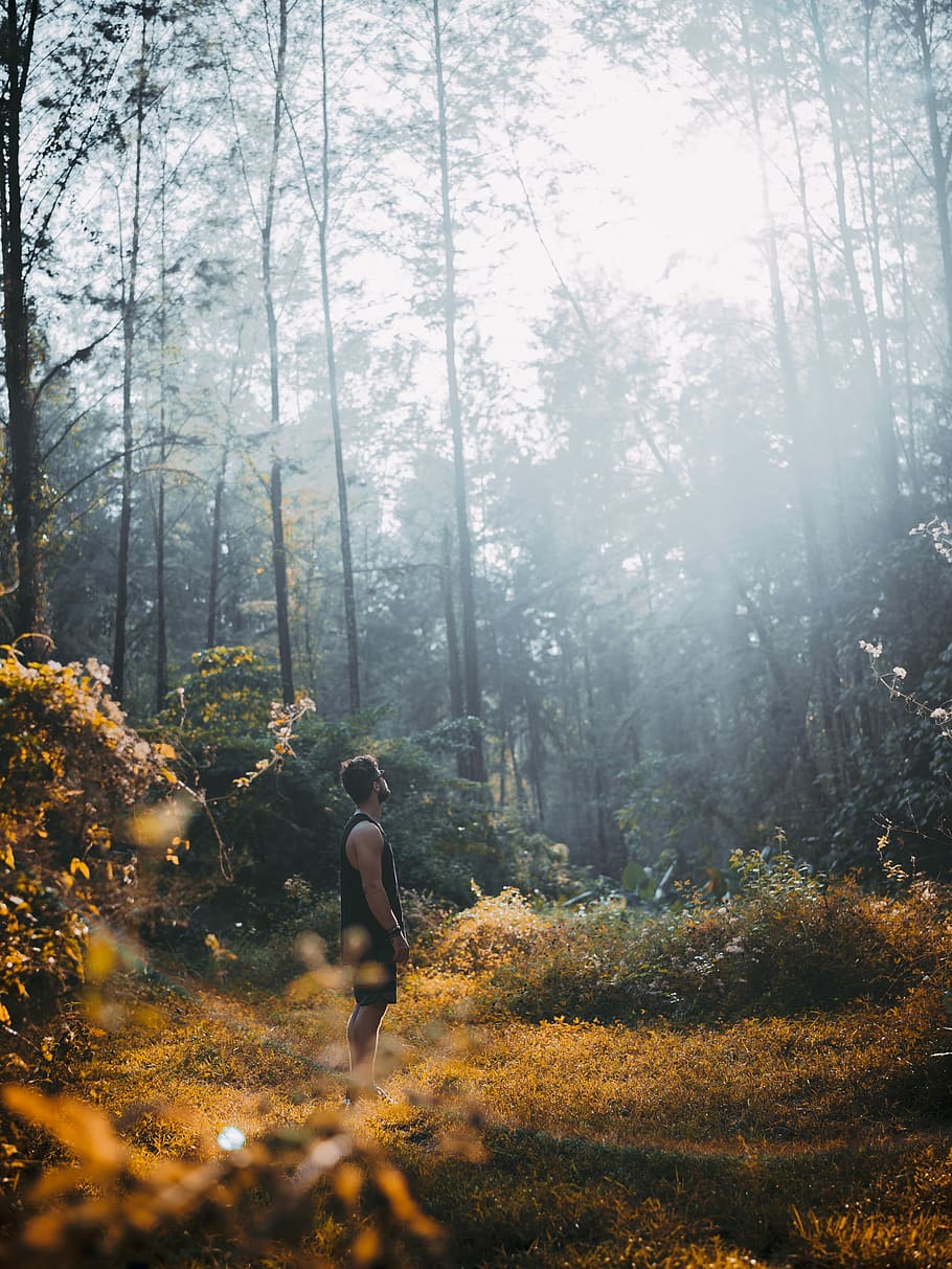 man standing on brown grass and looking up at forest, man wearing black tank top near outdoor during daytime HD wallpaper