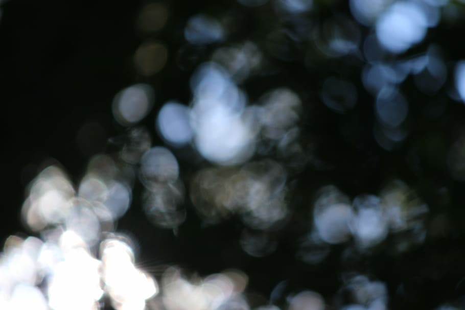 bokeh, forest, background, light, trees, out of focus, defocused HD wallpaper
