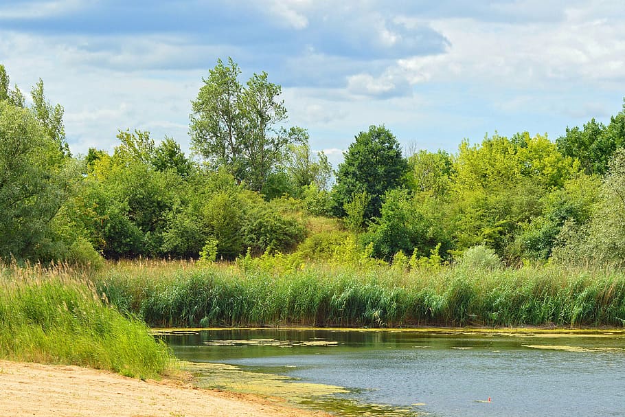 landscape, trees, lake, waters, clouds, cumulus clouds, plant HD wallpaper
