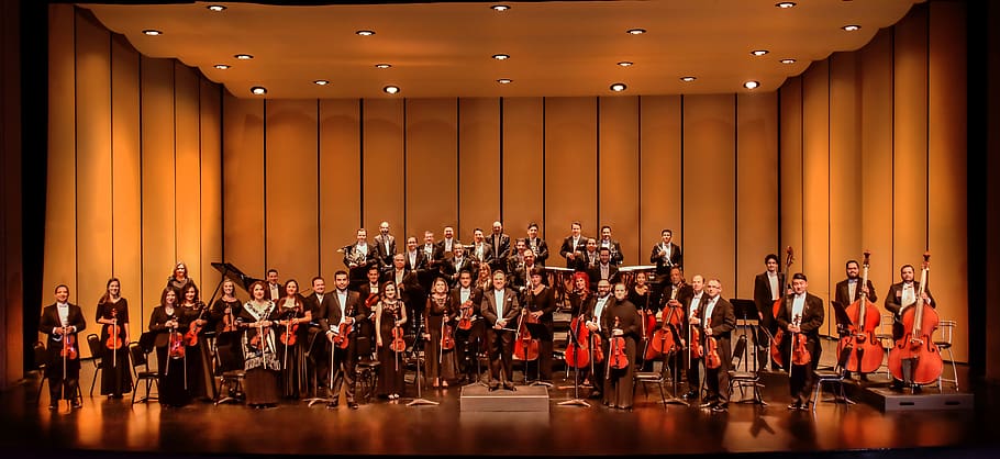 orchestra, performance, concert, people, stage - performance space, HD wallpaper