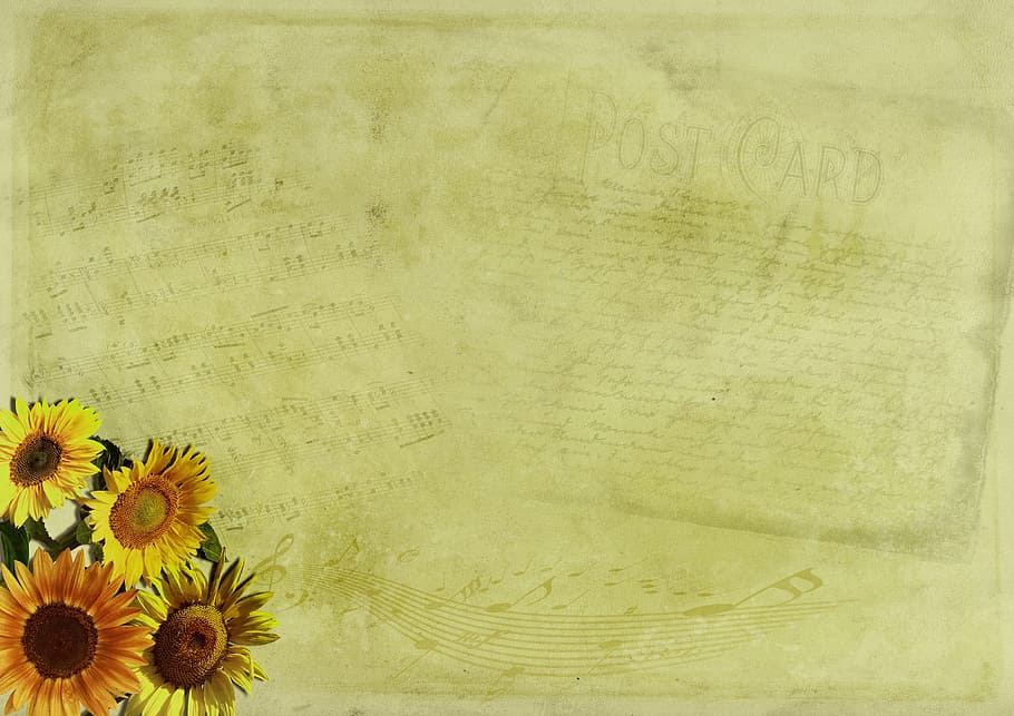 photo of yellow post card with sunflower, flowers, map, background image