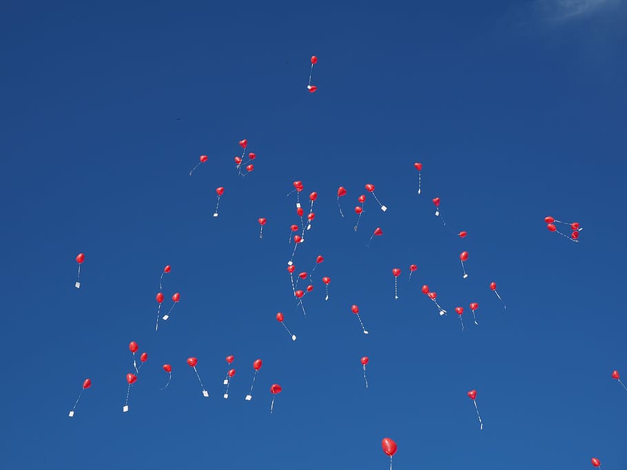 balloons, fly, wedding, congratulations, rise, upgrade, heart HD wallpaper