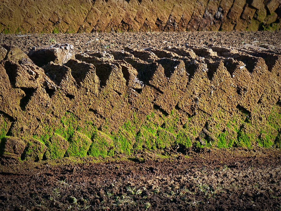 peat, potting soil, agriculture, dirt, nature, land, farm, rural Scene HD wallpaper
