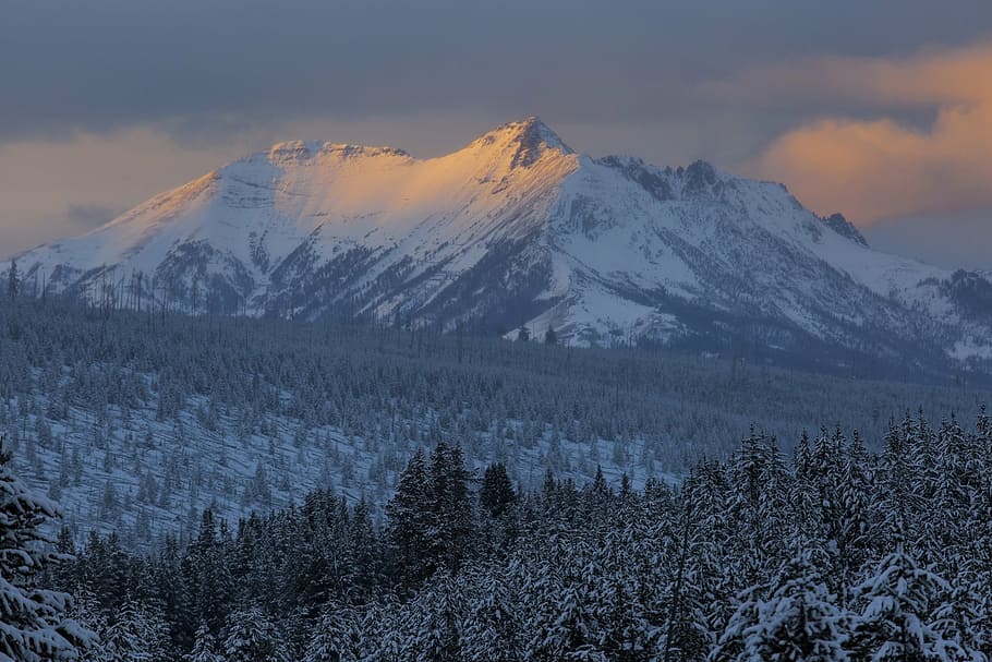 aerial photo of mountain and trees covered with snow, electric peak HD wallpaper