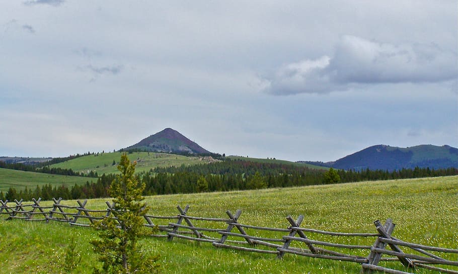 fence, meadow, mountain, outside, wild, scenery, grass, vista HD wallpaper