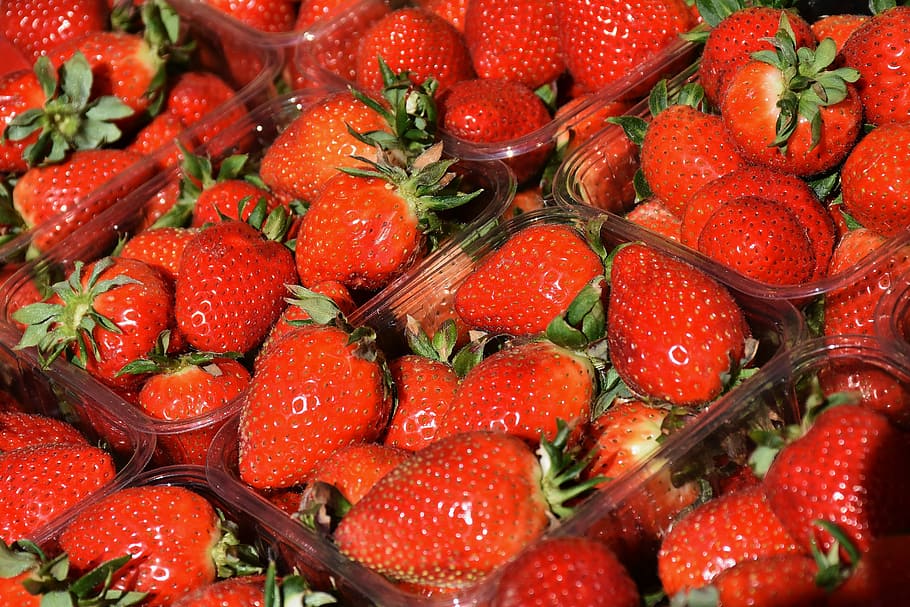 red strawberries in cases, fruit, sweet, fruits, market, spring HD wallpaper