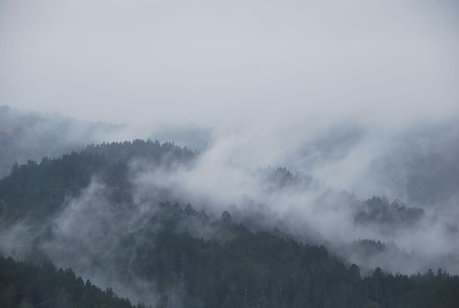 mountain covered with fogs, mountain covered by fog, cloud, mist HD wallpaper