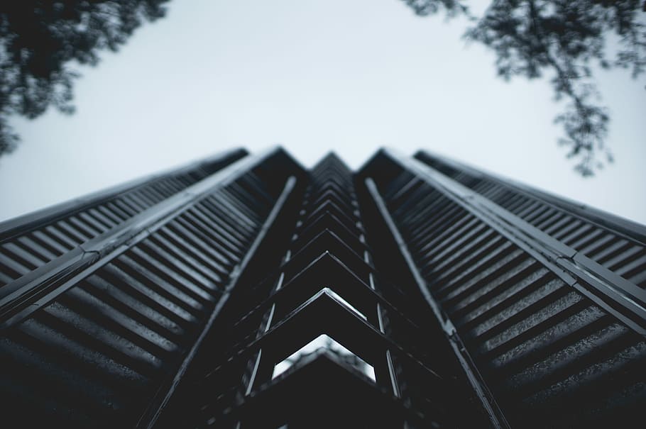 low angle photography of high-rise building, worm's eye view photography of city building HD wallpaper