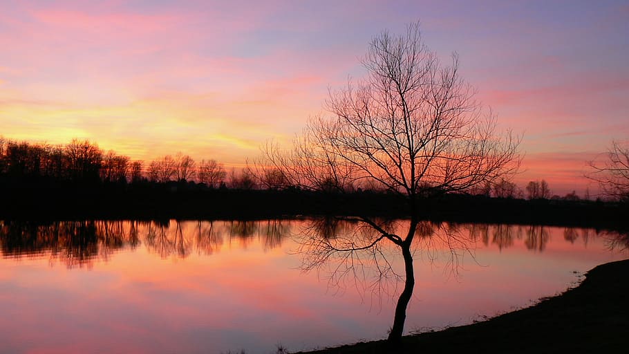 sunset, lake, tree, reflection, peaceful, sky, water, tranquility HD wallpaper