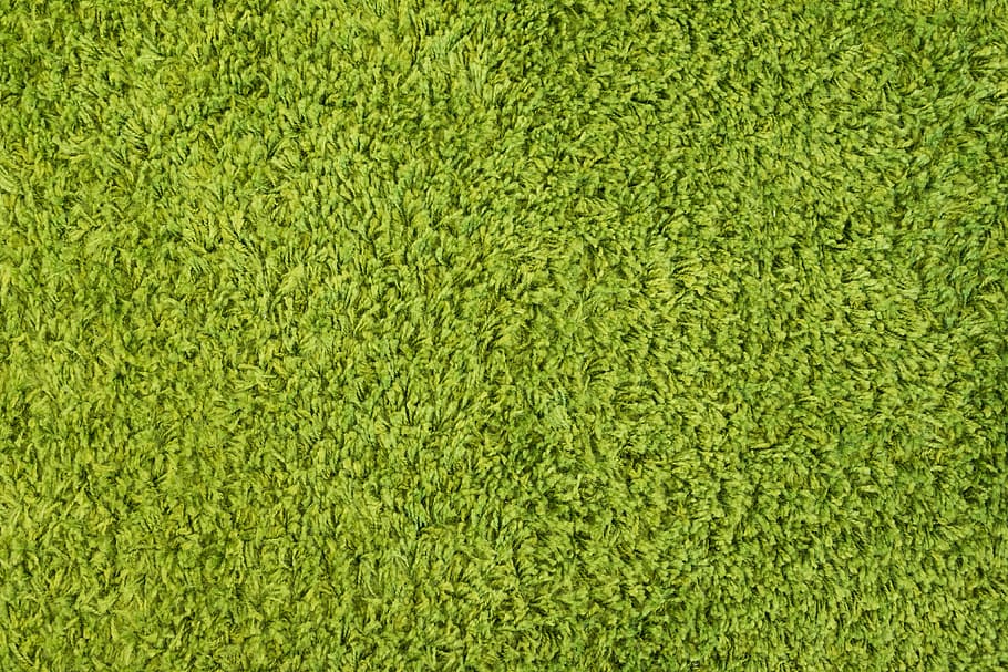 Green High Pile Carpet Close Up Pattern Background, minimalism