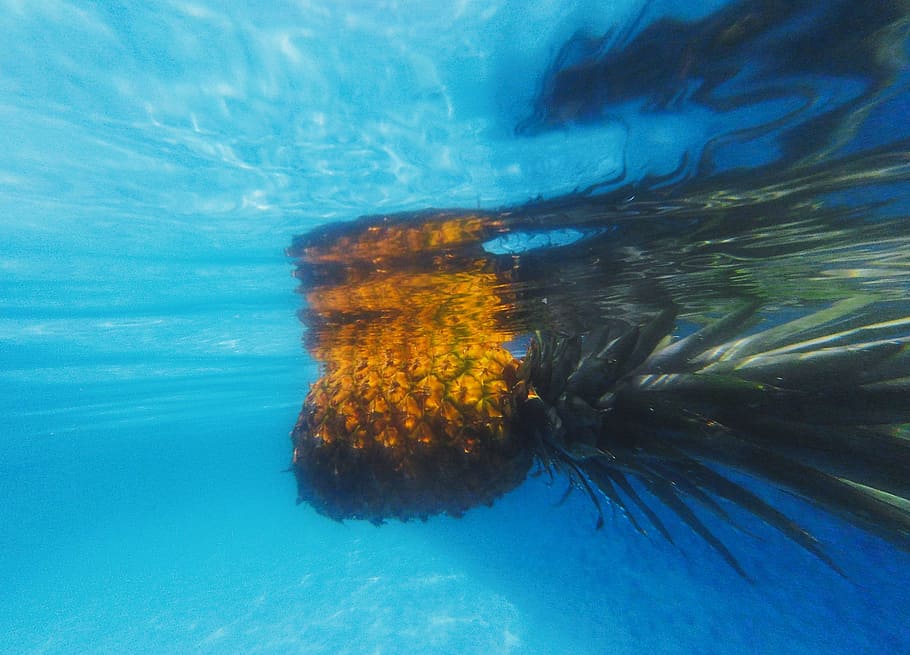 pineapple, dessert, appetizer, fruit, juice, crop, underwater HD wallpaper